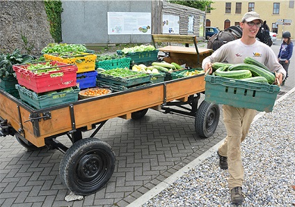 veg delivery web